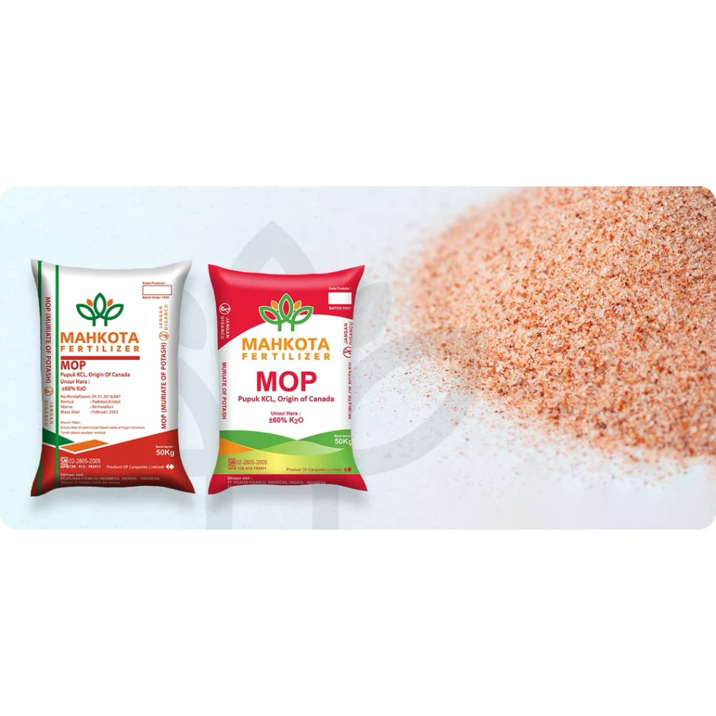 KCL Repack 1 KG