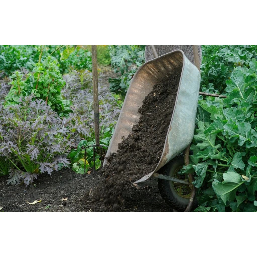 Media Tanam Racikan Premium