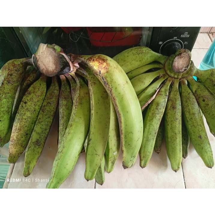 Pisang TANDUK KAPAS /  Bawen /Raja Lawe / Cocok Untuk Berbagai Olahan