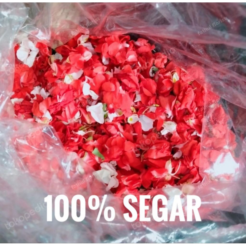 bunga tabur pihong // bunga segar // Bunga pihong