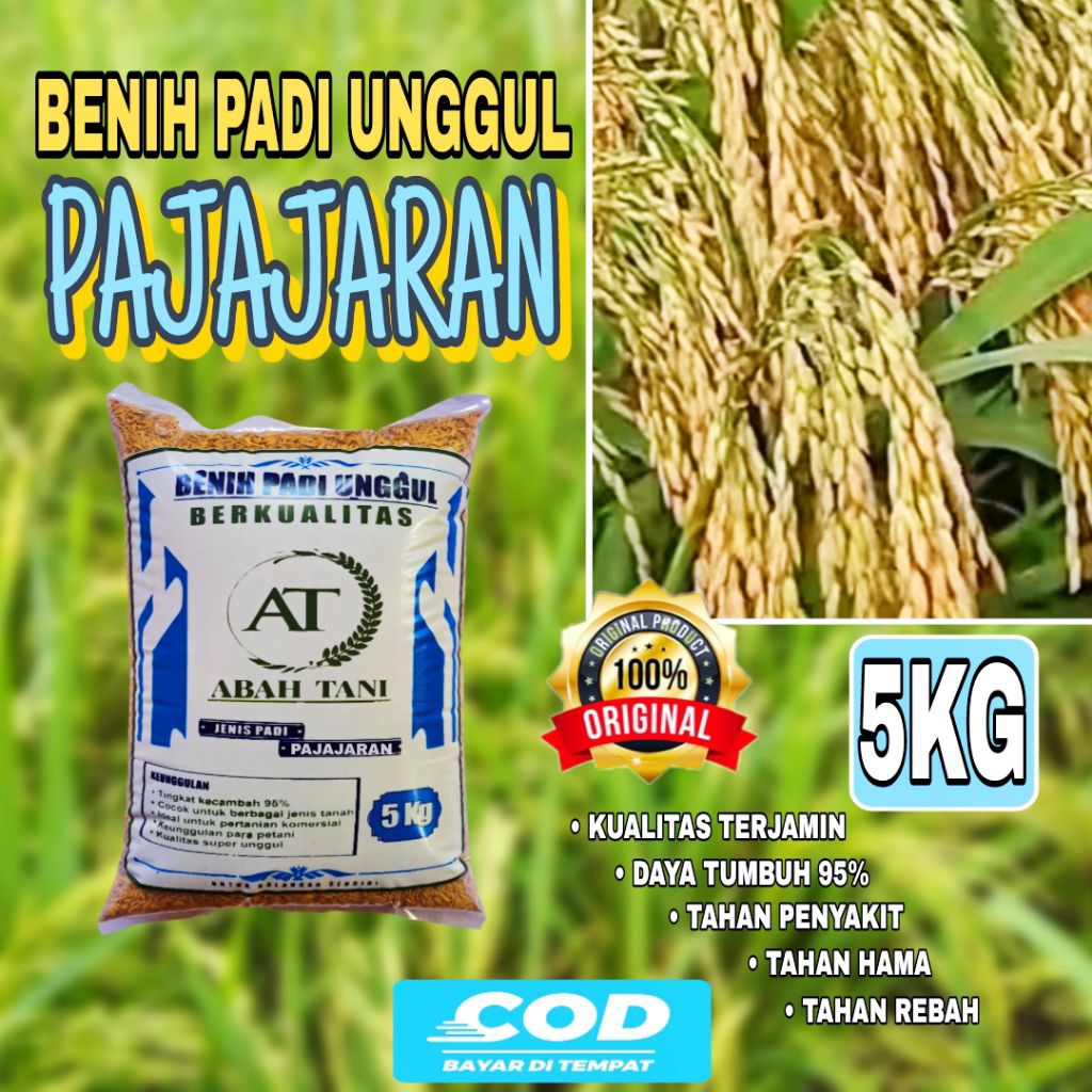 BENIH PADI PAJAJARAN 5KG BIBIT PADI UNGGUL BERKUALITAS PREMIUM PRODUK ORIGINAL