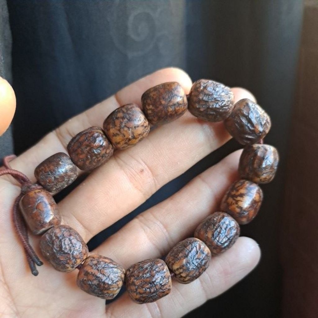gelang lawas