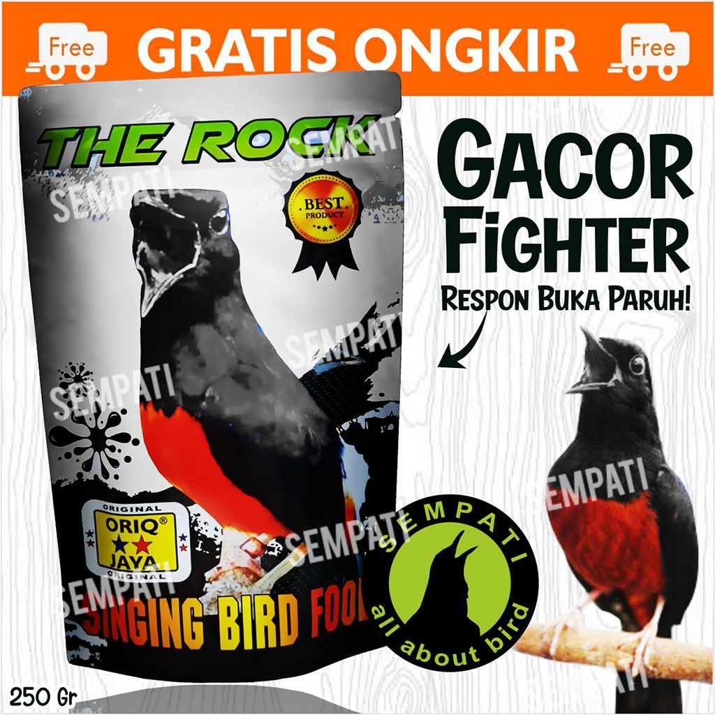 SEMPATI PAKAN BURUNG MURAI KACER THE ROCK ORIQ JAYA