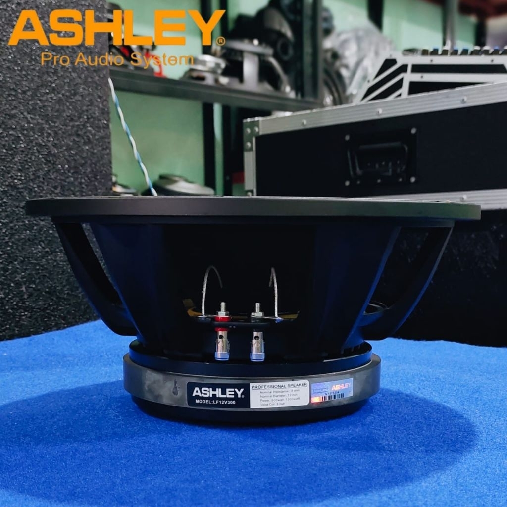 Speaker ASHLEY 12inch | LF12V300 | Original