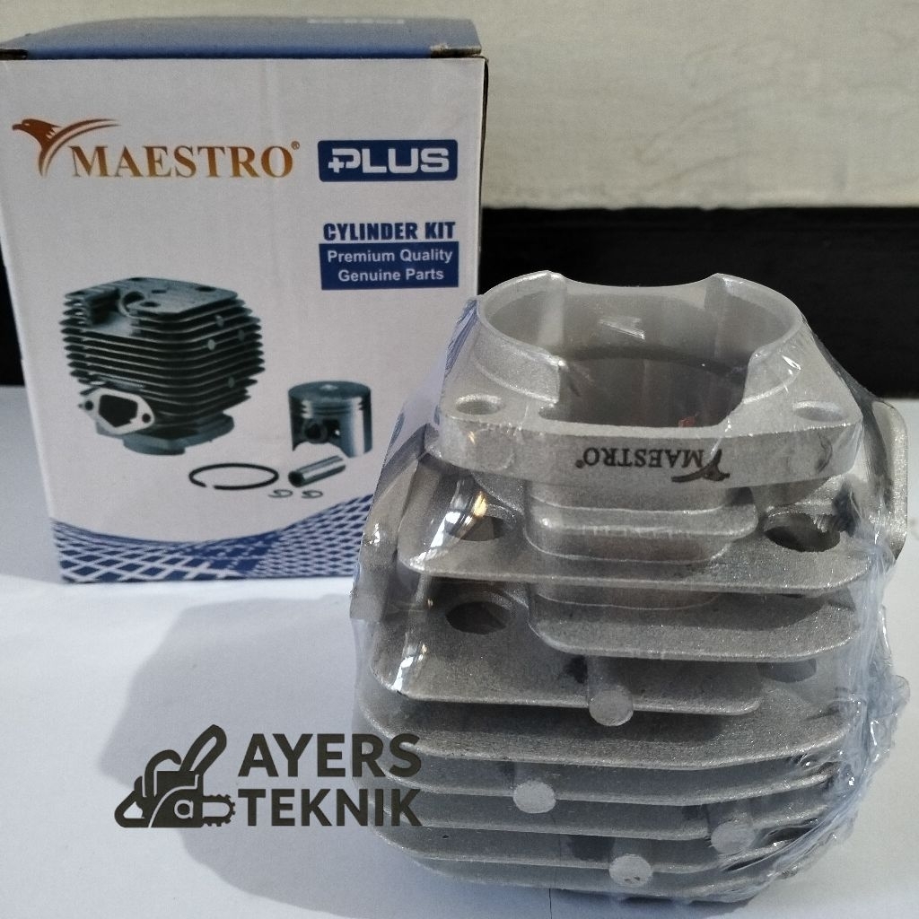 5800 CYLINDER BLOCK ASSY 6500 MAESTRO ORIGINAL