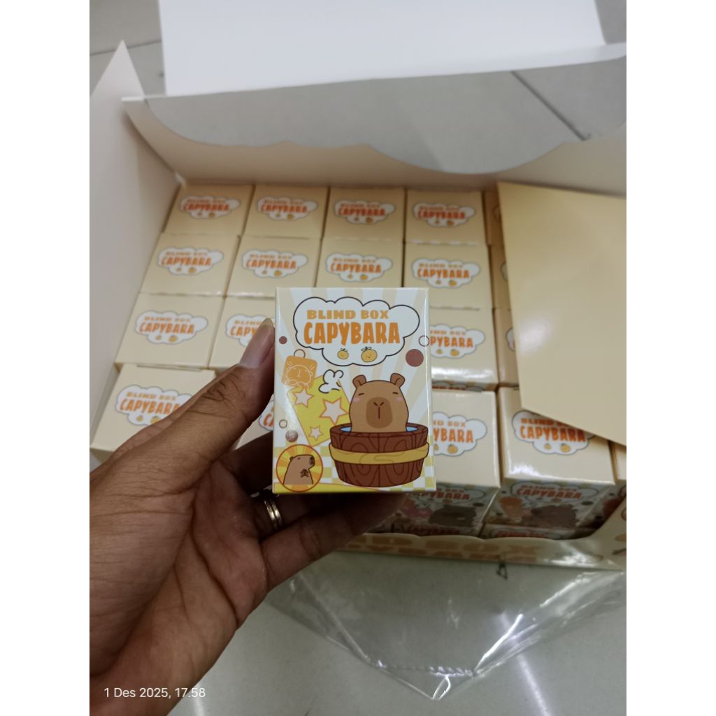Blind box capybara mr. diy