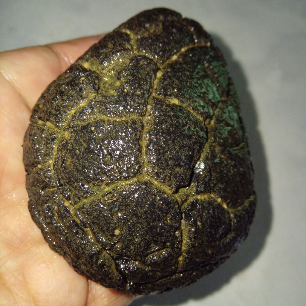 Original Batu Satam Meteorite Big Size / Ukuran Jumbo