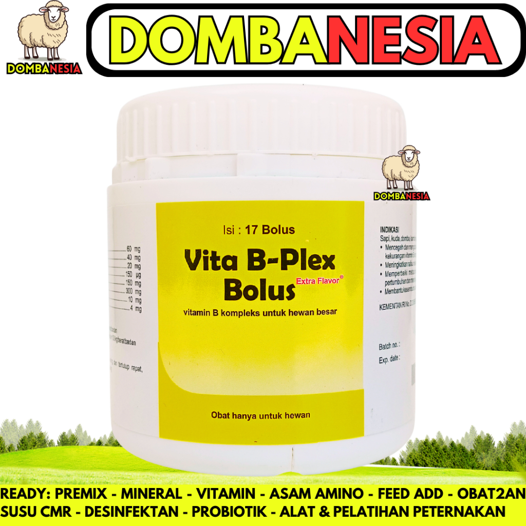 VITA B PLEX BOLUS 1 POT (17 BOLUS) MEDION - Vitamin B Complex Bolus Untuk Ternak Sapi Kambing Domba