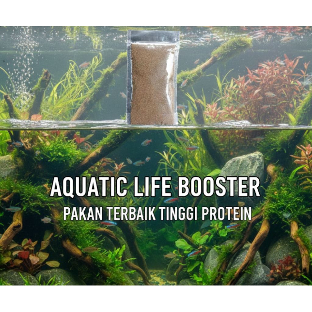 Makanan burayak ikan hias air tawar dan laut/fengli 0 bubuk 50 gram