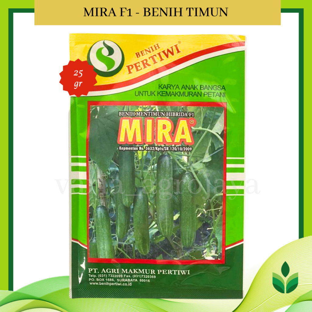 Benih Bibit Timun Mira F1 25 gr - Benih Pertiwi