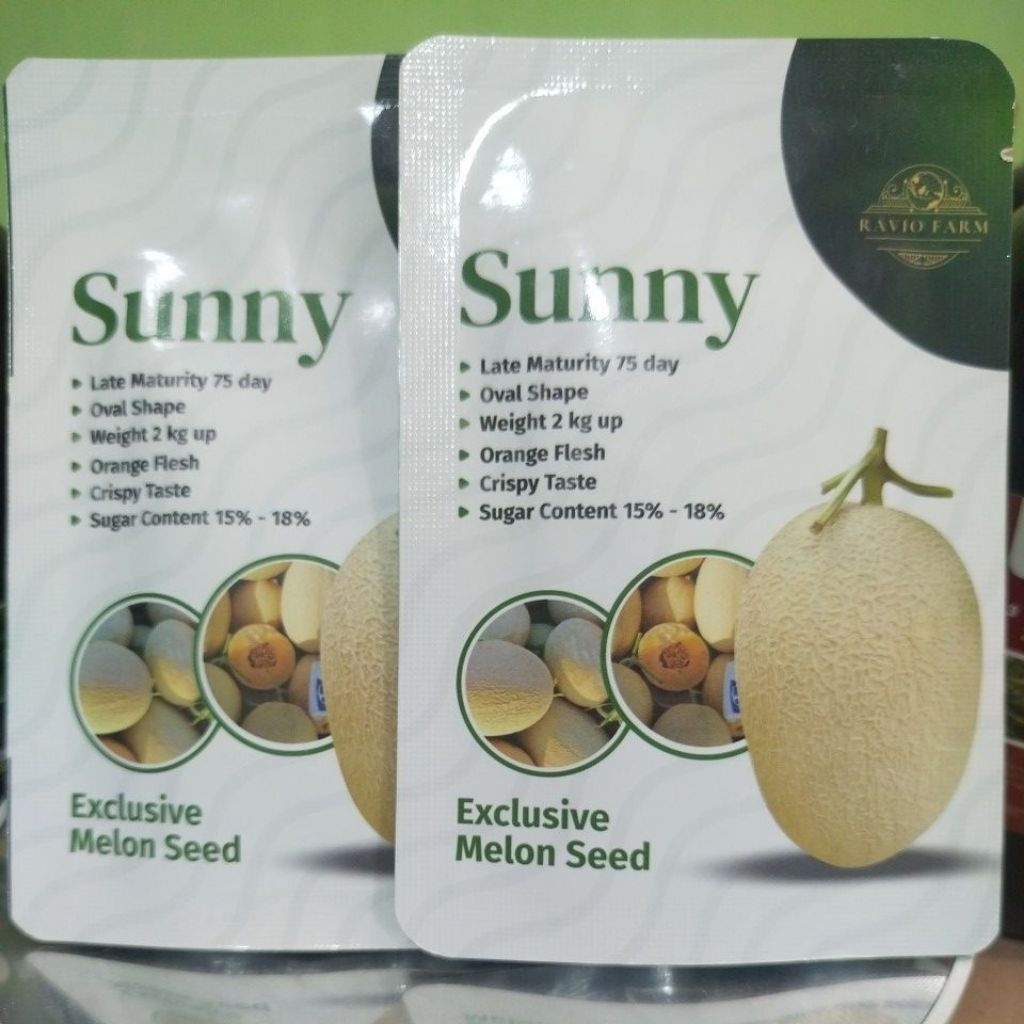 Sunny benih melon premium