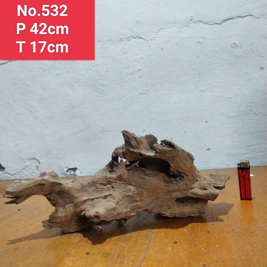 bonggolan akar santigi laut akar detailing aquascape aquarium 532