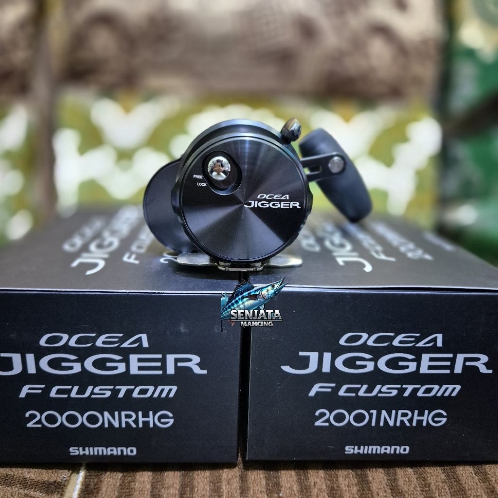 Shimano OCEA JIGGER F CUSTOM