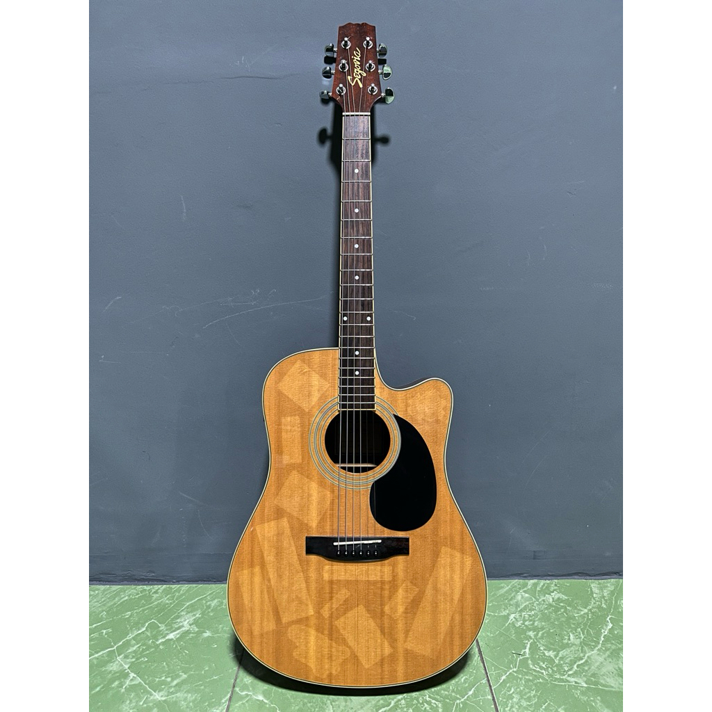 Gitar Akustik Elektrik Segovia