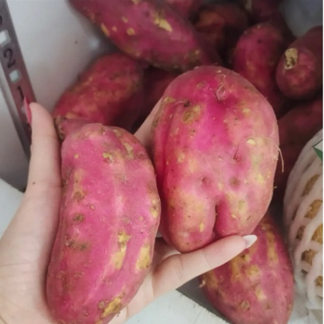 Ubi Jepang Viral 1KG /Ubi Goguma/ Ubi Jalar Merah Putih/ UBI MERAH/Ubi Jalar Manis / Ubi Madu Cilemb