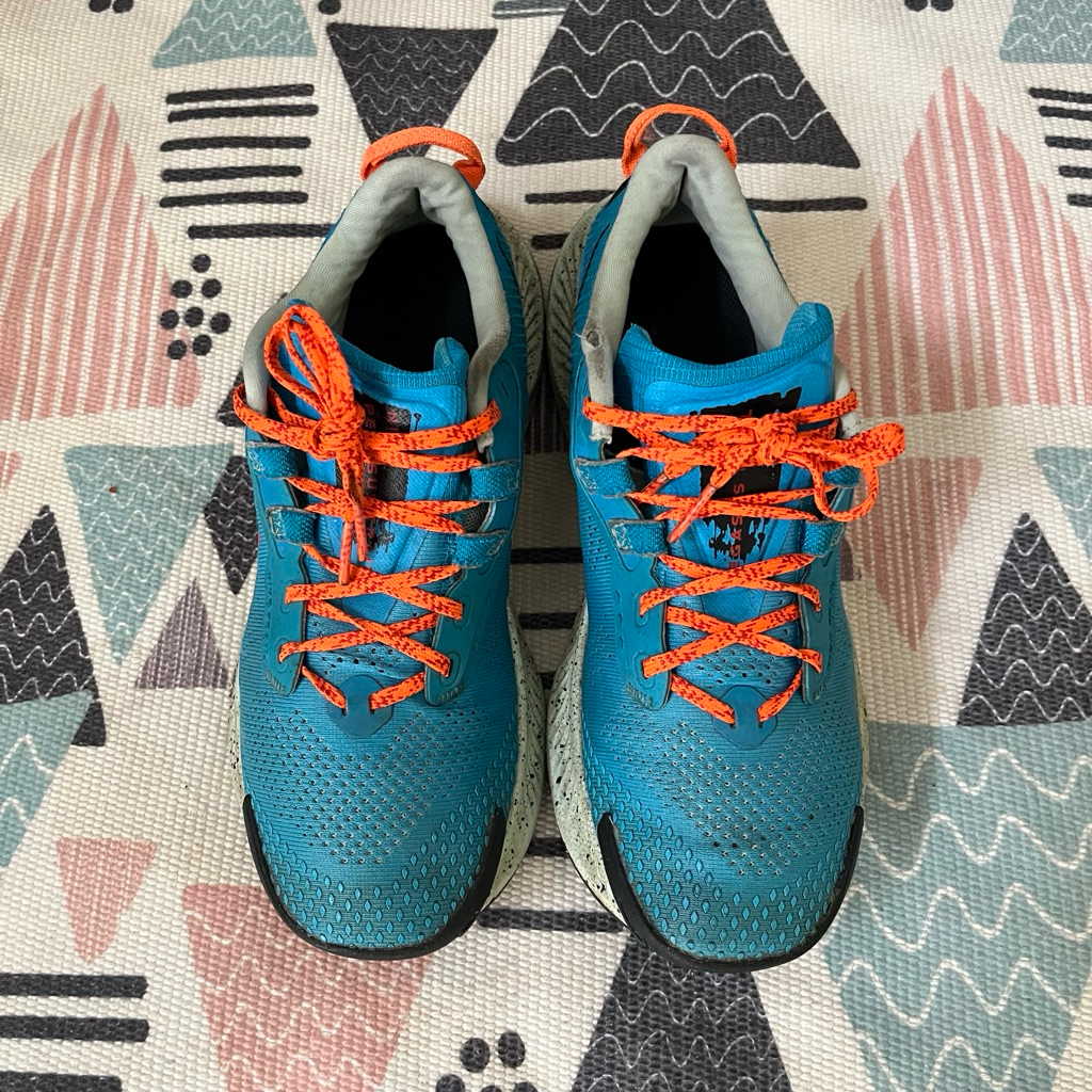 Sepatu N1K3 Air Pegasus Trail 3