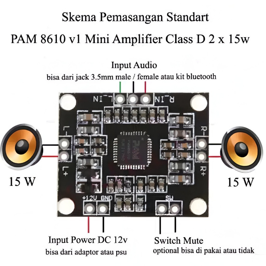 PAM 8610 Stereo Amplifier 2x15W ORIGINAL