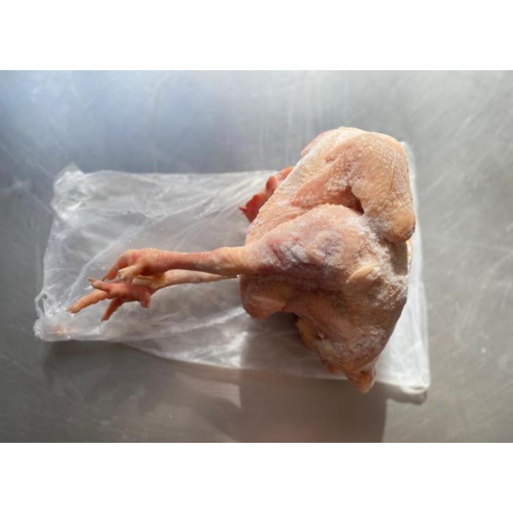 AYAM BROILER FROZEN 800-1,2 KG