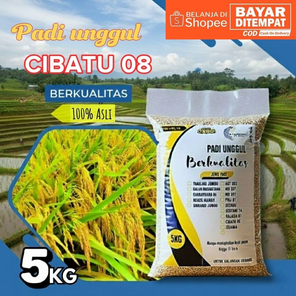 Benih padi unggul berkualitas CIBATU 08 Kemasan 5Kg 100% Original