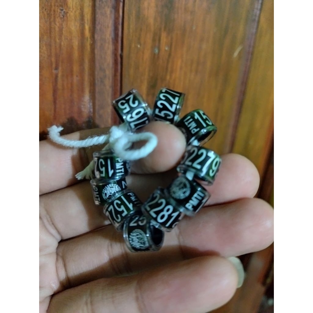 Ring PMTI 2025 untuk merpati kolong meja