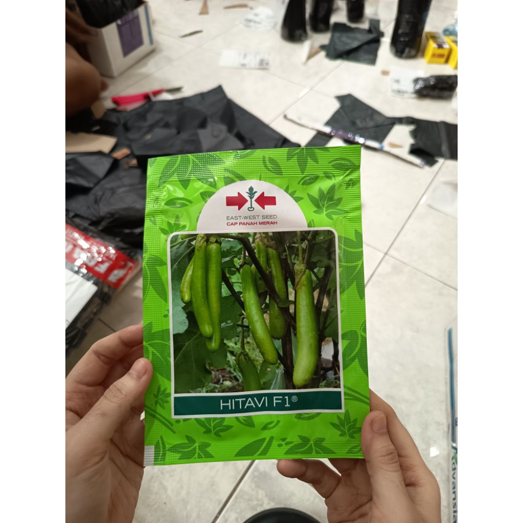 BENIH TERONG HITAVI PANAH MERAH