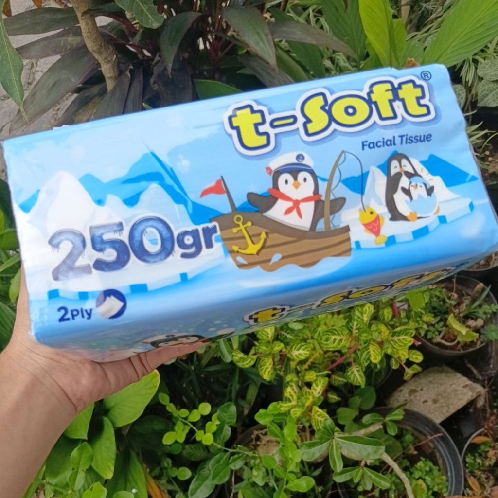 Tissue Facial T-Soft