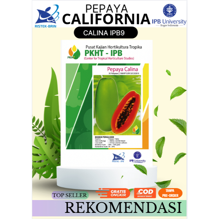 Benih Pepaya Calina PKHT IPB-9  | Pepaya California | Bibit Original kualitas mutu 5gram