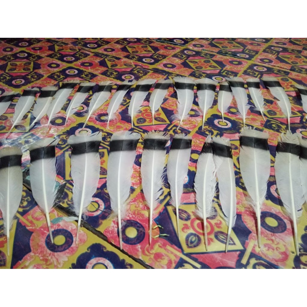 bulu hias kepala hitam putih enggang fake