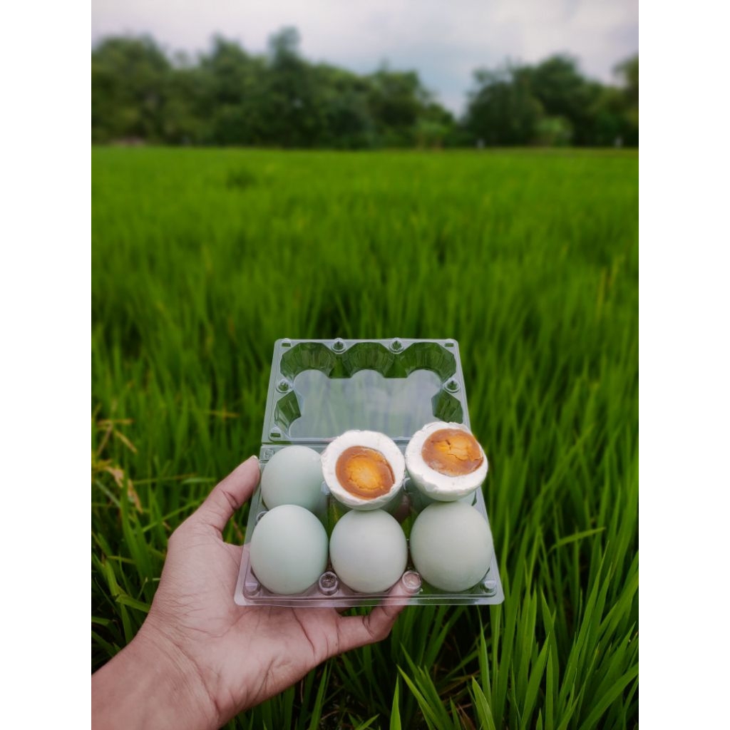 Telur Asin Masir omega - Tinggi Protein, telur asin omega murah