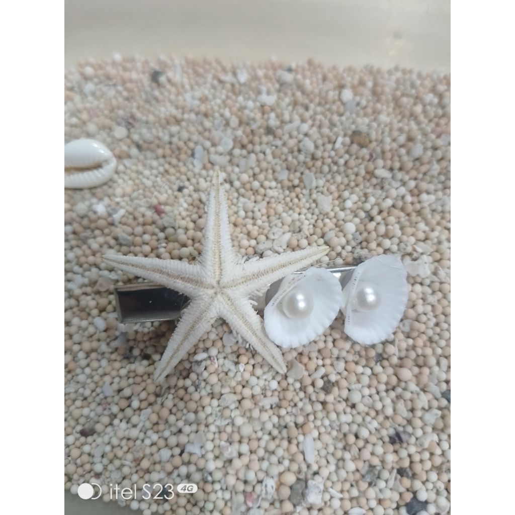 jepit rambut bintang laut asli bukan plastik