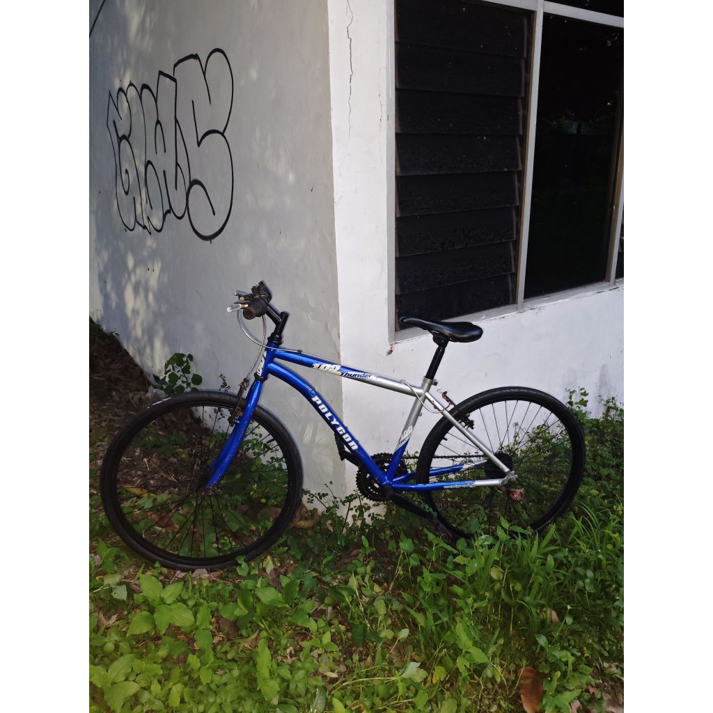 POLYGON THUNDER 100