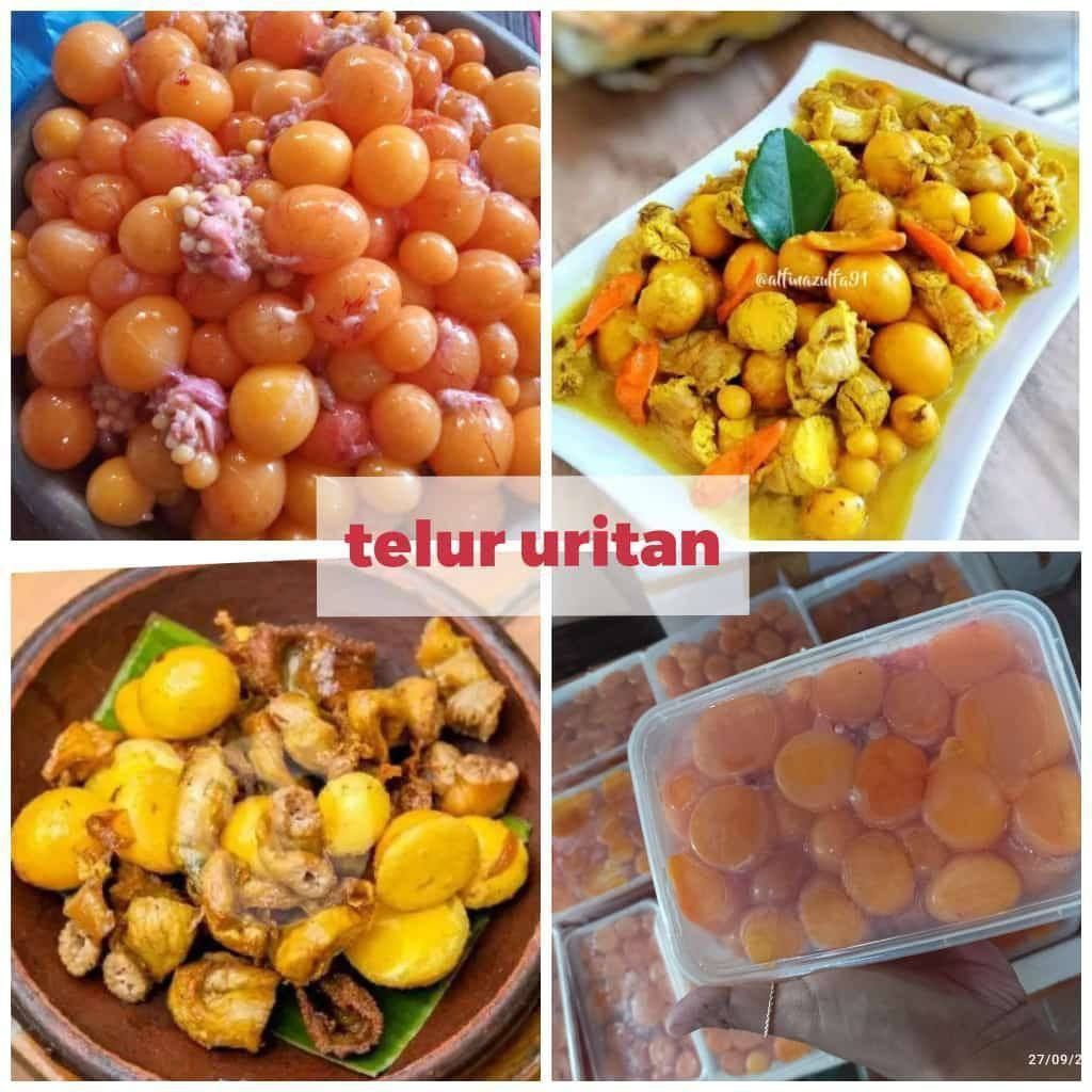 Uritan telur ayam, telur ayam muda fresh beku berat 1 kg