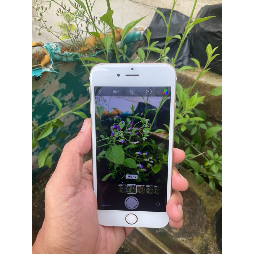 IPHONE 6s GOLD 128gb