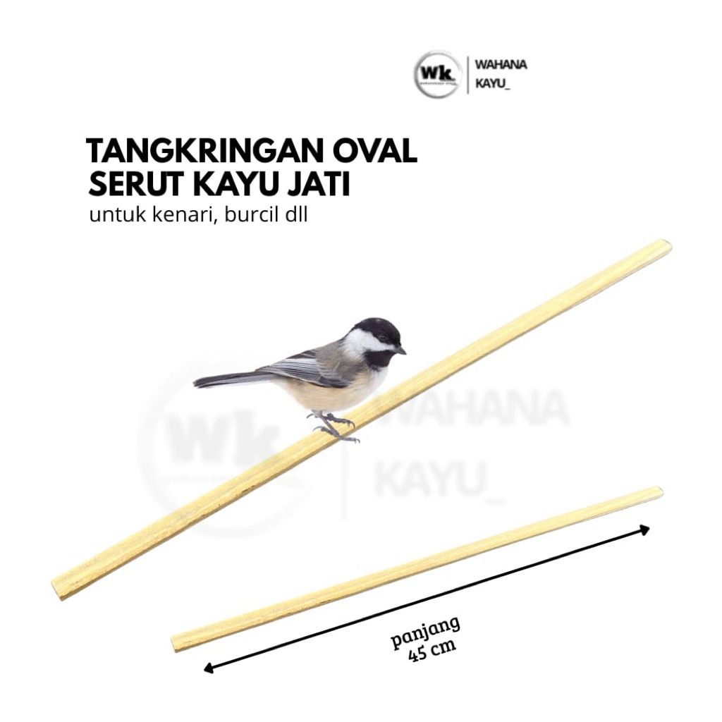 tangkringan oval serut 45cm burung kenari burcil | tangkringan burung model oval serut