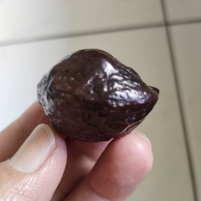 Kemiri Adu Muncang Adu Jayanti Raden Ori Urgen Full Tua