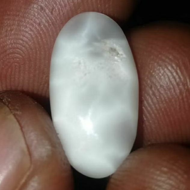 Batu Mustikah Bulu Macan Putih Serat Keramik Kura Asli Semeru LumajangGoyang Itik 3D