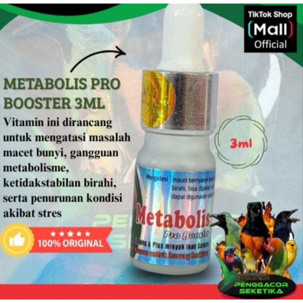Metabolisme white cristal metabolis kristal dooing penggacor macet