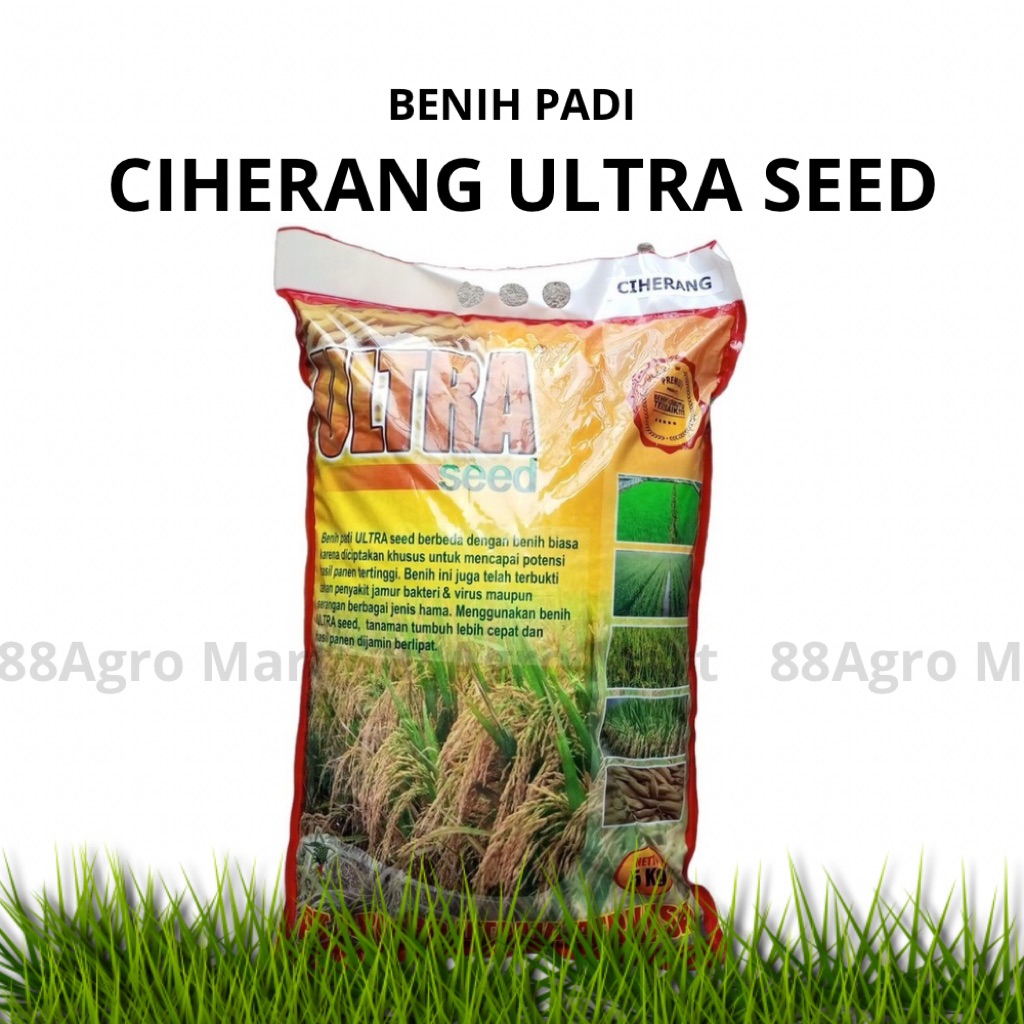 BENIH PADI CIHERANG ULTRA SEED - 5KG