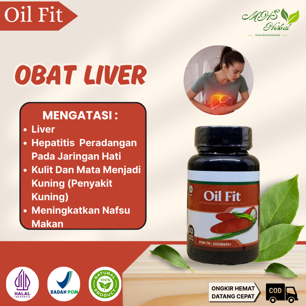 Obat Liver Penyakit Kuning, Pembengkakan Di Perut, Penurunan Nafsu Makan - Oil Fit 50 Kapsul