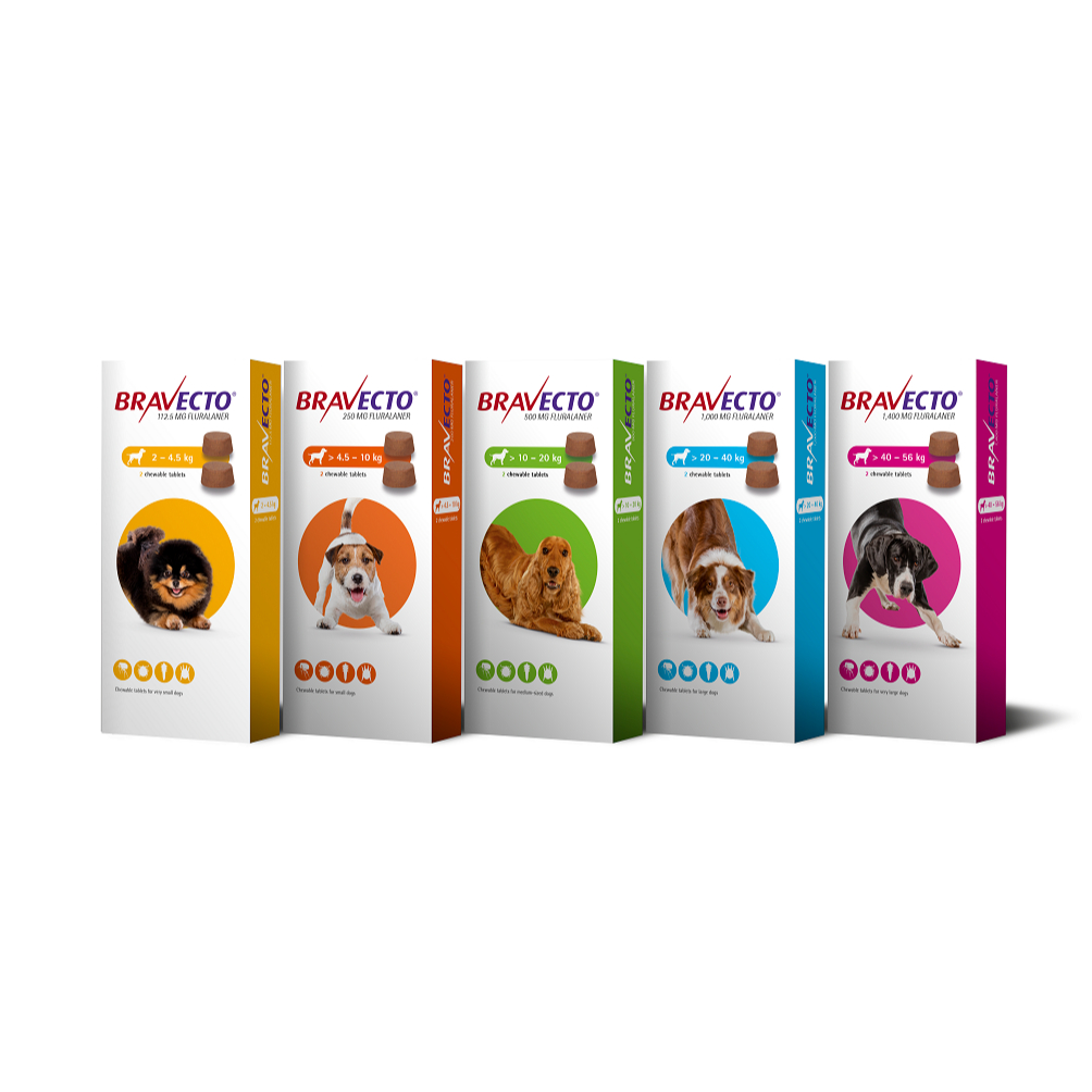 Bravecto obat kutu anjing