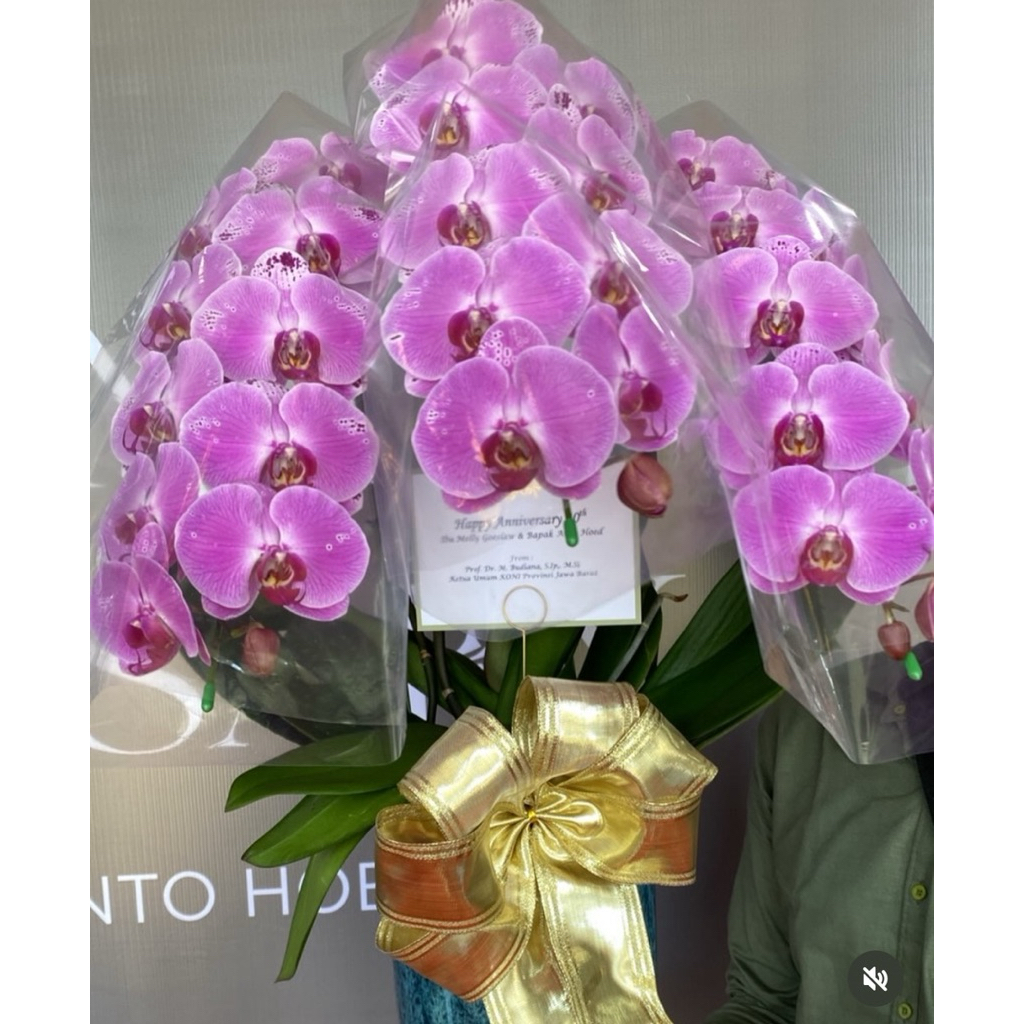 ANGGREK PAKET