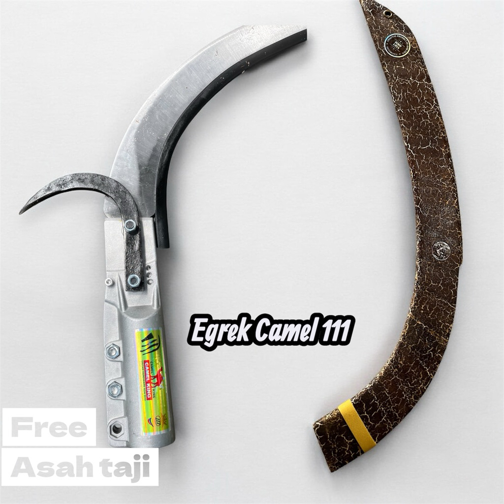 Taji camel 111 dan Egrek Sawit bonus sarung