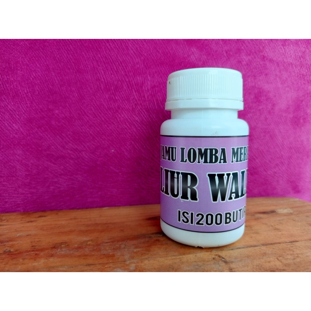 jamu lomba merpati liur walet