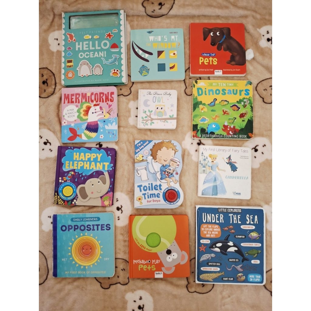 Boardbook Anak BBW Preloved