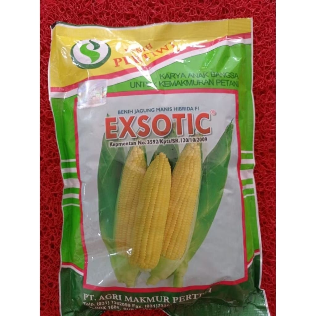 BENIH JAGUNG EXSOTIC PERTIWI (HIBRIDA)