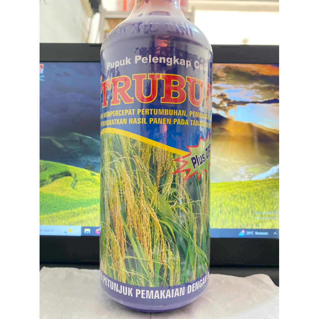 TRUBUS