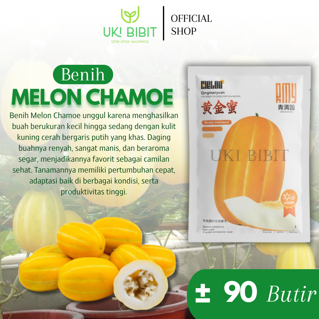Kemasan Original | Benih Biji Melon Chamoe | Melon Korea | Korean Melon