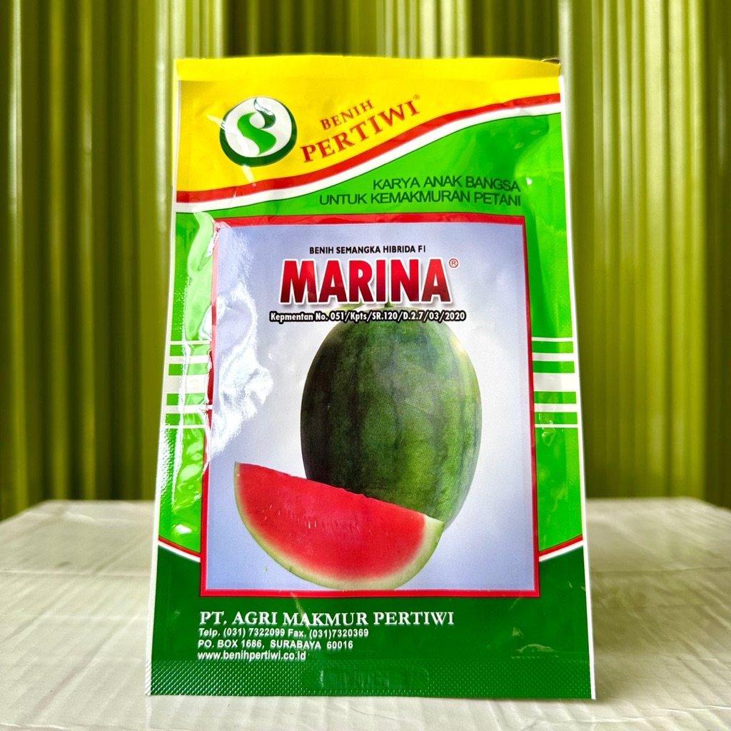 Benih Semangka MARINA F1 20 Gram - Bibit Semangka Non Biji Marina dari Benih Pertiwi