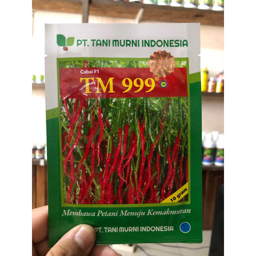 Benih Cabai Kriting TM 999