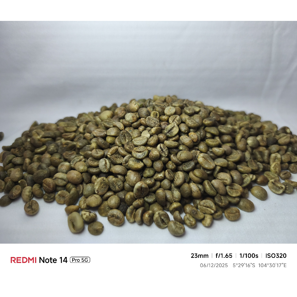 KOPI SHOP Biji Kopi Mentah Robusta (Green Beans) Asli Lampung Siap Roasting